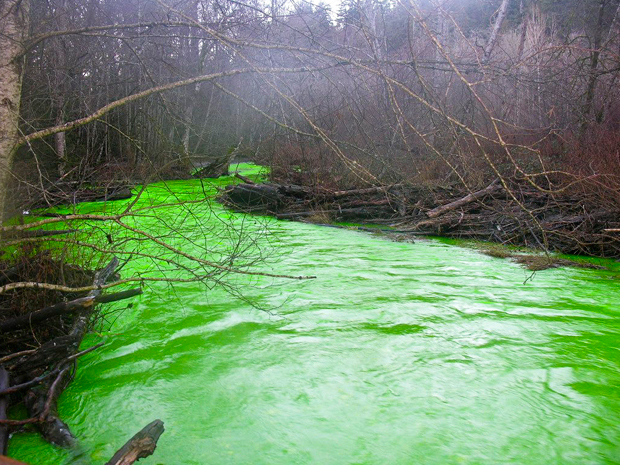 a green river